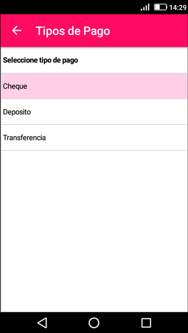 App-Recibos-Ventana-Cliente-Datos-Pago